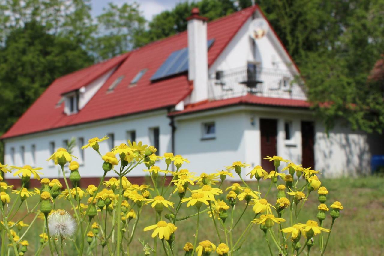 Agroturystyka Rebowo Klodawa  Exterior foto